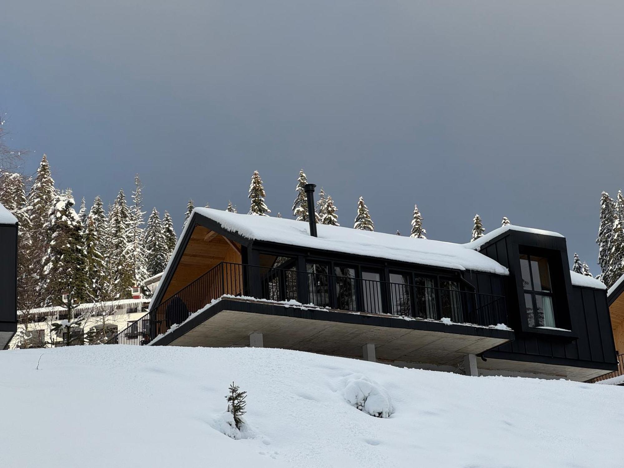 High Five Villas Pamporovo Extérieur photo
